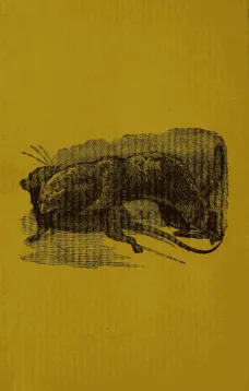 All about Ferrets and Rats
A Complete History of Ferrets, Rats, and Rat Extermination from Personal Experiences and Study. Also a Practical Hand-Book on the Ferret.