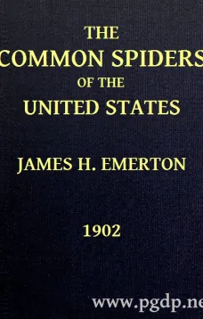 The Common Spiders of the United States