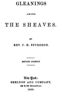 Gleanings Among The Sheaves
