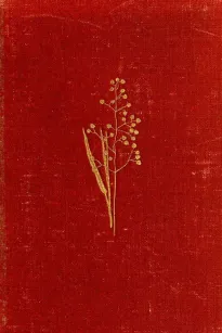 Field and Woodland Plants