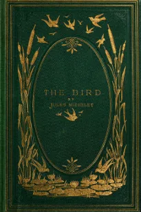 The Bird