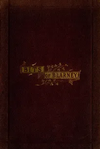 Bits of Blarney