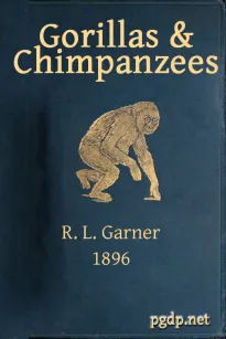 Gorillas & Chimpanzees
