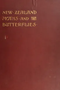 New Zealand Moths and Butterflies
(Macro-Lepidoptera)