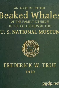 The Beaked Whales of the Family Ziphidae
An account of the Beaked Whales of the Family Ziphiidae
in the collection of the united states museum...
