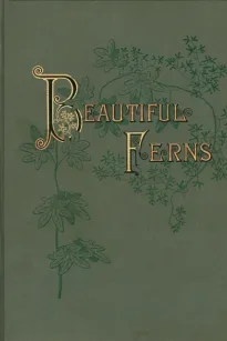 Beautiful Ferns