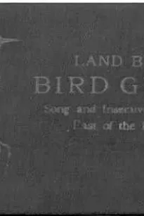 Bird Guide: Land Birds East of the Rockies
From Parrots to Bluebirds