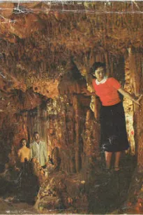 Florida Caverns State Park
Marianna, Florida
