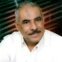 د. حسين سرمك حسن