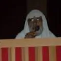 محمد محمد ابو موسى