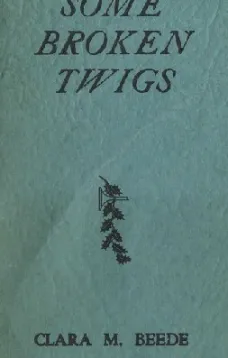 Some Broken Twigs