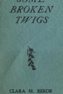 Some Broken Twigs