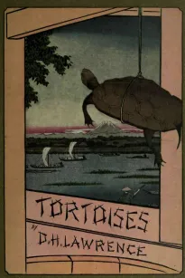 Tortoises