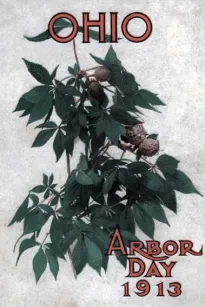 Ohio Arbor Day 1913: Arbor and Bird Day Manual
Issued for the Benefit of the Schools of our State
