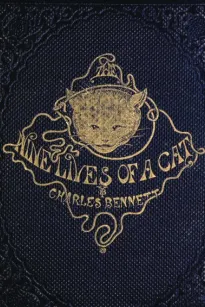 The Nine Lives of A Cat: A Tale of Wonder