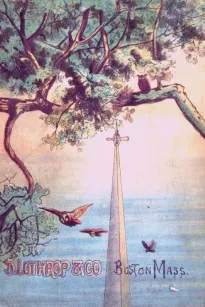 On the Tree Top