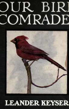 Our Bird Comrades