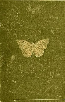 Butterflies and Moths (British)