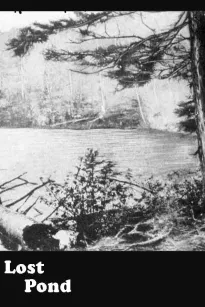 Lost Pond