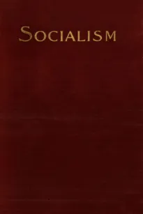 Socialism and the Social Movement in the 19th Century