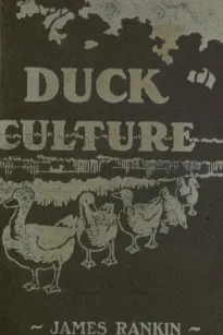 Natural and Artificial Duck Culture
