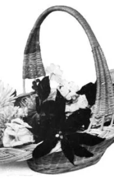 Practical Basketry