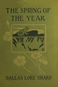 The Spring of the Year