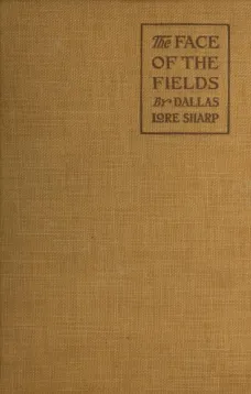 The Face of the Fields