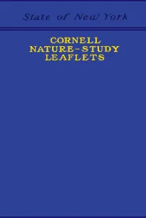 Cornell Nature-Study Leaflets
Being a selection, with revision, from the teachers'
leaflets, home nature-study lessons, junior naturalist
monthlies and other publications from the College of
Agriculture, Cornell University, Ithaca, N.Y., 1896-1904