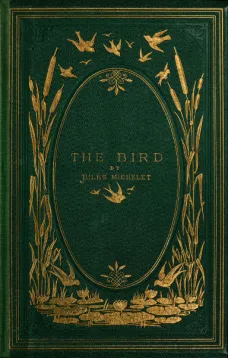 The Bird