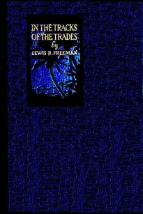 In the Track of the Trades
The Account of a Fourteen Thousand Mile Yachting Cruise to the Hawaiis, Marquesas, Societies, Samoas and Fijis