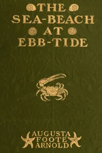 The Sea-beach at Ebb-tide
A Guide to the Study of the Seaweeds and the Lower Animal Life Found Between Tide-marks