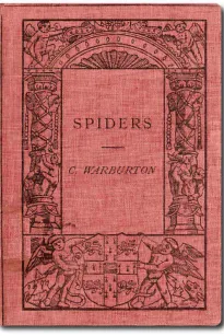 Spiders