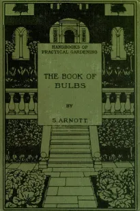 The Book of Bulbs