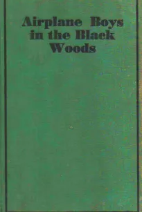 Airplane Boys in the Black Woods