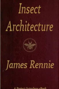 Insect Architecture