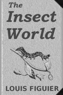 The Insect World
Being a Popular Account of the Orders of Insects